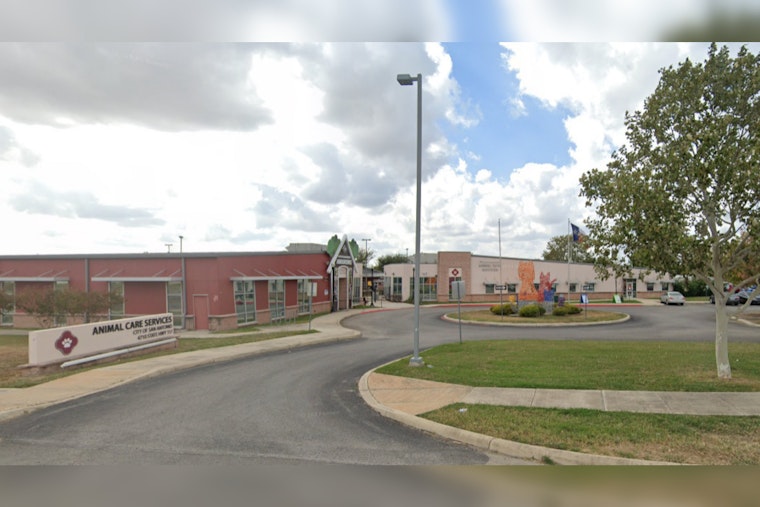 San Antonio Continues Search for Animal Care Services Head Amid Rising Concerns