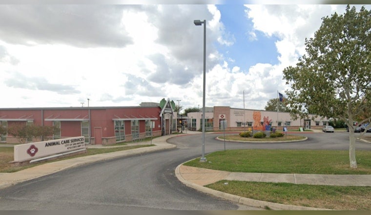 San Antonio Continues Search for Animal Care Services Head Amid Rising Concerns