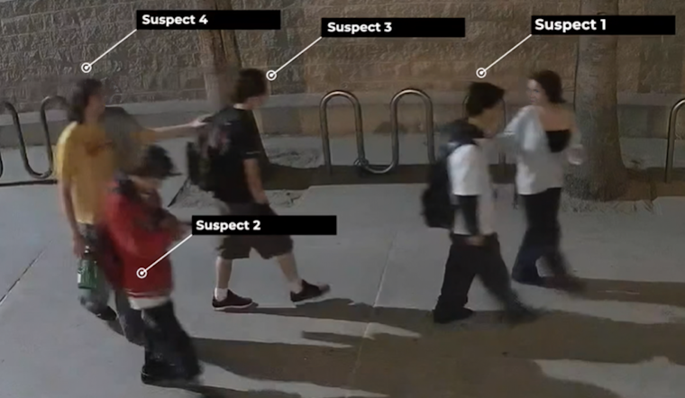 VIDEO: San Diego Police Seek Public's Help to Identify Suspects in Pacific Beach Double Assault