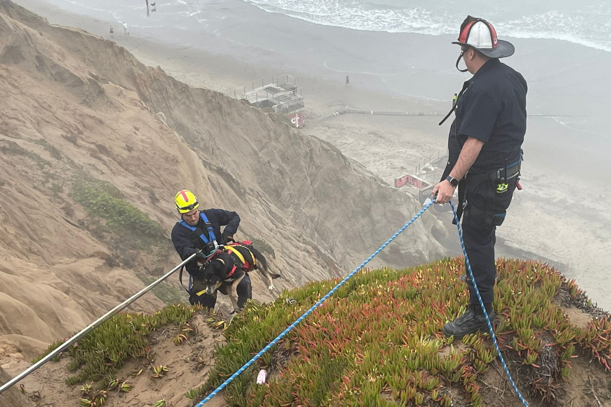 Daring Husky 'Rope Rescue' as SFFD Saves Dog from Fort Funston