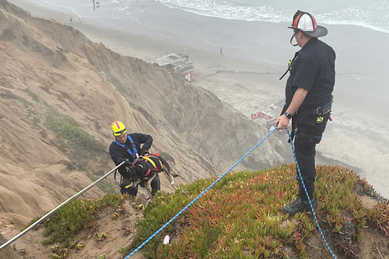 Daring Husky 'Rope Rescue' as SFFD Saves Dog from Fort Funston Cliffside, 15 Feet Down