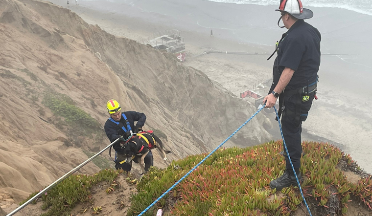 Daring Husky 'Rope Rescue' as SFFD Saves Dog from Fort Funston Cliffside, 15 Feet Down
