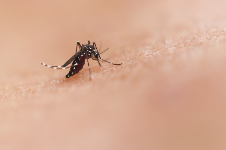 San Gabriel Valley on Alert as West Nile Virus Detected, Residents Urged to Take Preventive Actions