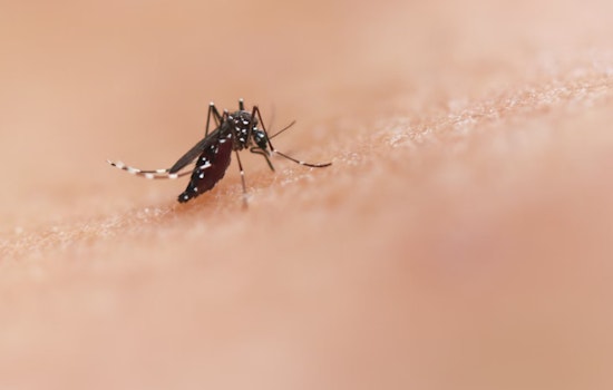 San Gabriel Valley on Alert as West Nile Virus Detected, Residents Urged to Take Preventive Actions