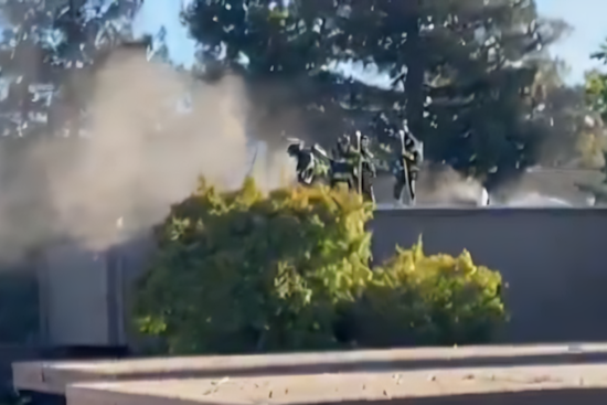 VIDEO: Santa Rosa Firefighters Rapidly Extinguish Apartment Blaze, Rescue Dog; Candle Likely Cause