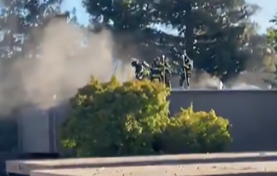 VIDEO: Santa Rosa Firefighters Rapidly Extinguish Apartment Blaze, Rescue Dog; Candle Likely Cause