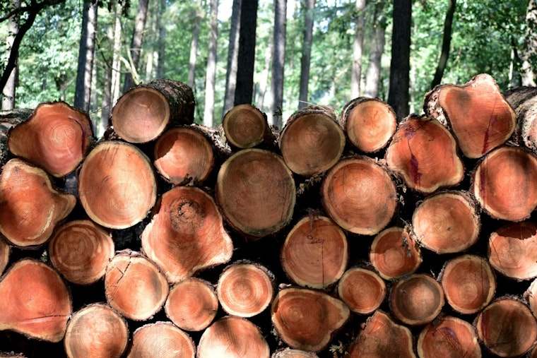 Savannah and Atlanta Join Forces in Revolutionary Construction Waste Reduction Effort