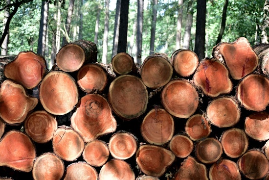 Savannah and Atlanta Join Forces in Revolutionary Construction Waste Reduction Effort