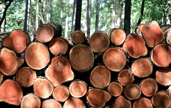 Savannah and Atlanta Join Forces in Revolutionary Construction Waste Reduction Effort