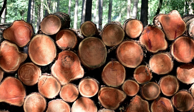Savannah and Atlanta Join Forces in Revolutionary Construction Waste Reduction Effort