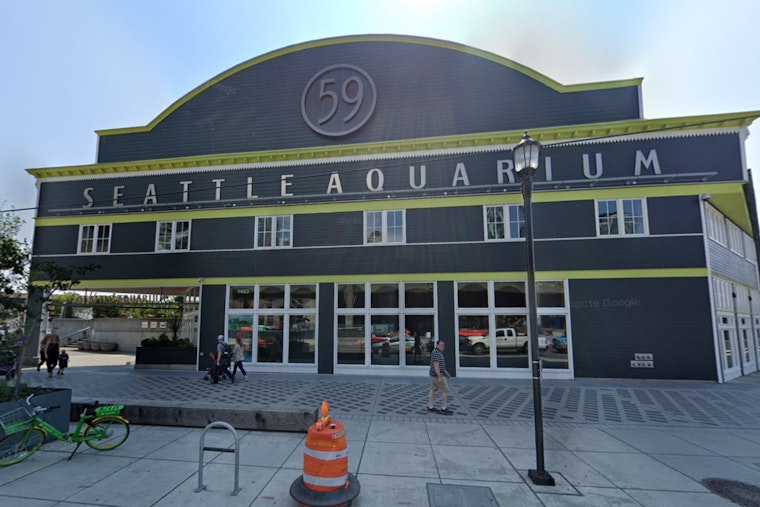 Seattle Aquarium's New Ocean Pavilion Set to Make a Splash This August as Landmark Waterfront Expansion Unveils