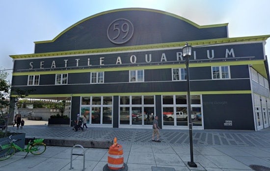 Seattle Aquarium's New Ocean Pavilion Set to Make a Splash This August as Landmark Waterfront Expansion Unveils