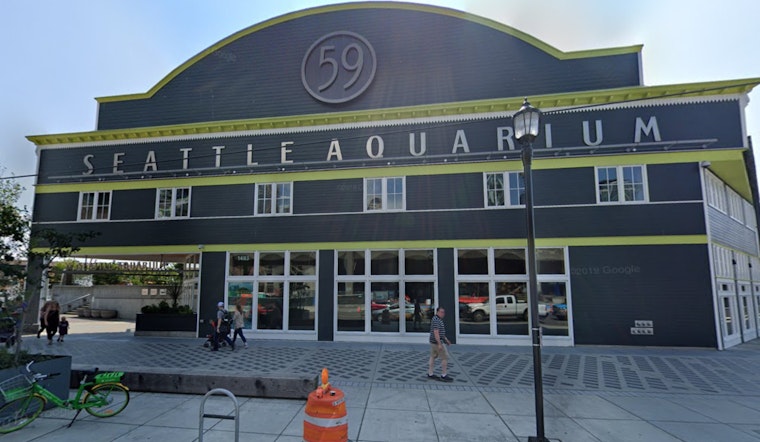 Seattle Aquarium's New Ocean Pavilion Set to Make a Splash This August as Landmark Waterfront Expansion Unveils