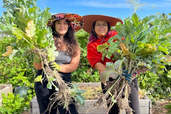 Seattle Awards $1.9 Million in Grants for Food Equity Initiatives through Food Equity Fund
