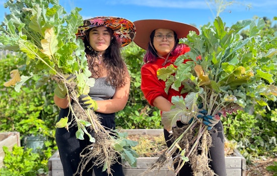 Seattle Awards $1.9 Million in Grants for Food Equity Initiatives through Food Equity Fund