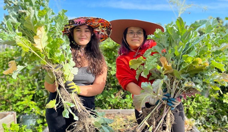 Seattle Awards $1.9 Million in Grants for Food Equity Initiatives through Food Equity Fund