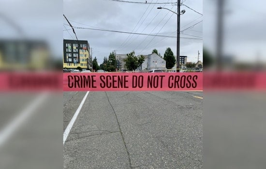 Seattle Police Launch Homicide Investigation After Early Morning Traffic Incident Turns Deadly in Lake City