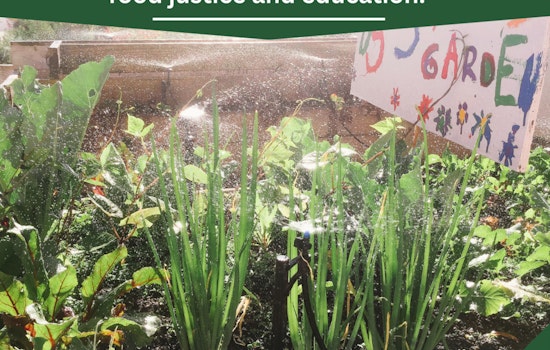 Seattle Schools Nourish Education with $100,000 USDA Farm to School Grant