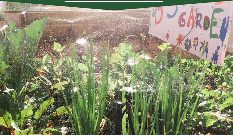 Seattle Schools Nourish Education with $100,000 USDA Farm to School Grant