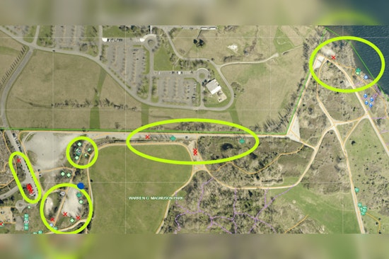 Seattle's Magnuson Park OLA Temporarily Closes for Upgrades and Tree Maintenance