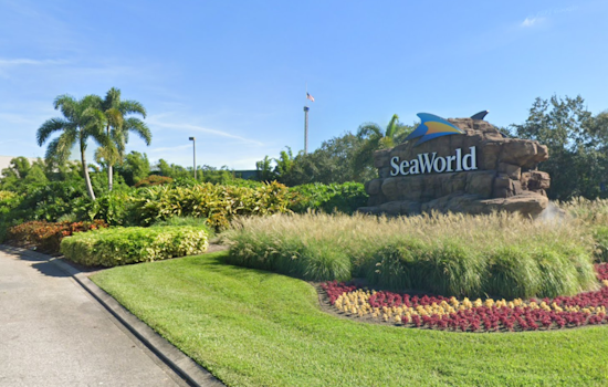 SeaWorld Orlando Unveils Chilly New 'Penguin Trek' Coaster Amid Summer Heat