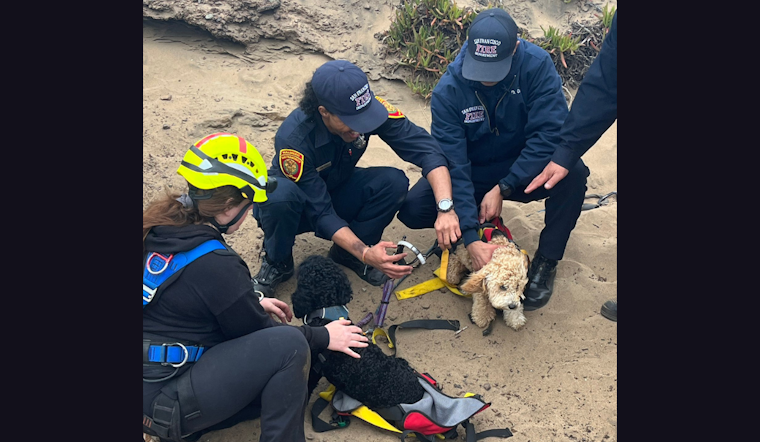 SFFD Skillfully Executes Cliffside Rescue of Person and Dogs at Fort Funston, San Francisco