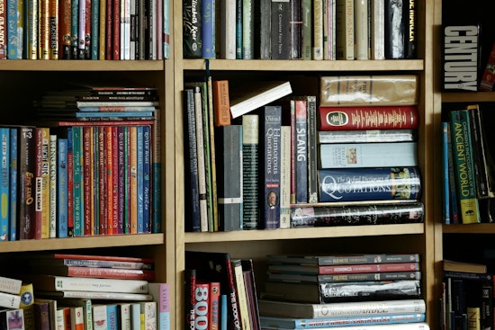 South Austin Neighborhoods to Flourish with 21 New Little Free Libraries