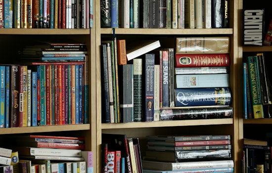 South Austin Neighborhoods to Flourish with 21 New Little Free Libraries