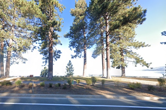 South Lake Tahoe Authorities Issue Warnings and Conduct Tests After Viral Post Links Dog's Death to Toxic Algae