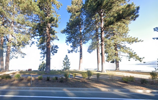 South Lake Tahoe Authorities Issue Warnings and Conduct Tests After Viral Post Links Dog's Death to Toxic Algae