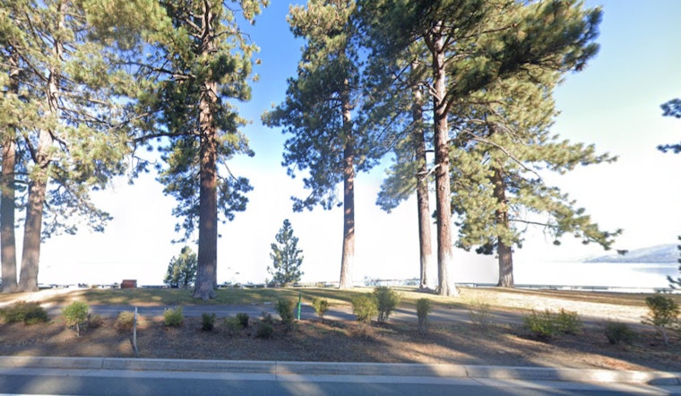 South Lake Tahoe Authorities Issue Warnings and Conduct Tests After Viral Post Links Dog's Death to Toxic Algae