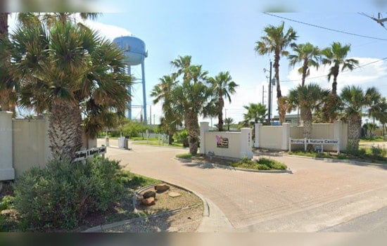 South Padre Island Sanctuary Relocates 40 Alligators to Beaumont Ahead of Hurricane Beryl's Approach
