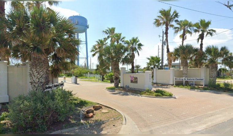 South Padre Island Sanctuary Relocates 40 Alligators to Beaumont Ahead of Hurricane Beryl's Approach
