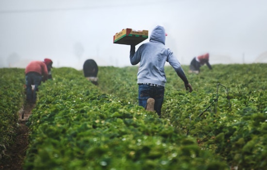 Southwest San Antonio Farmers Adjust Strategies Amid Intensifying Drought and Heat