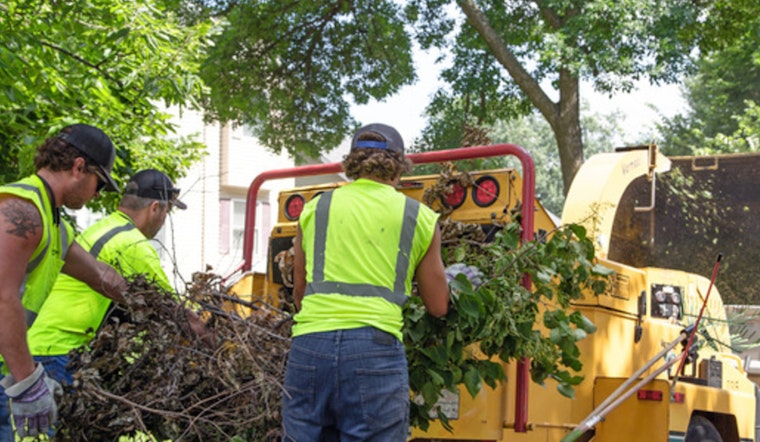 St. Louis Park Enhances Debris Removal Options for Residents in Storm Aftermath