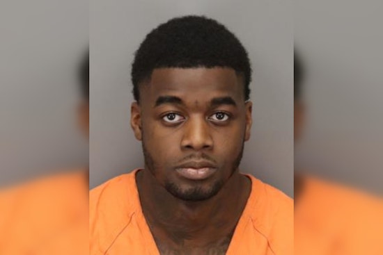 St. Petersburg Police Seek Driver in Fatal 22nd Avenue South Collision