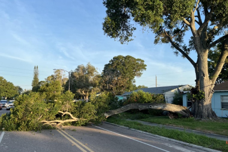 St. Petersburg Woman Injured by Falling Tree Branch, Emergency Services Promptly Respond