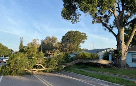 St. Petersburg Woman Injured by Falling Tree Branch, Emergency Services Promptly Respond