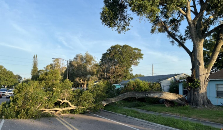 St. Petersburg Woman Injured by Falling Tree Branch, Emergency Services Promptly Respond