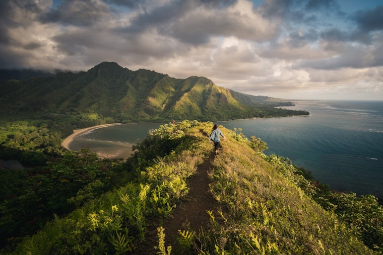Steady Trade Winds and Rising Moisture Anticipated for Hawaii, with Increased Showers Expected Later This Week