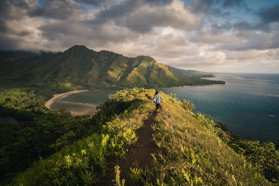 Steady Trade Winds and Rising Moisture Anticipated for Hawaii, with Increased Showers Expected Later This Week