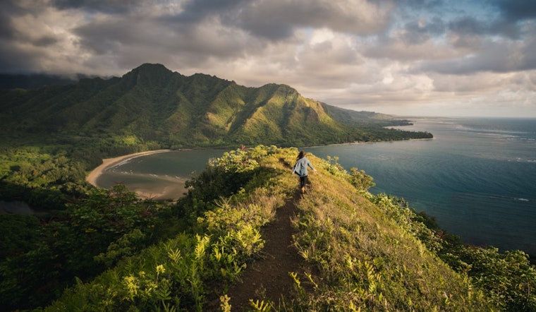 Steady Trade Winds and Rising Moisture Anticipated for Hawaii, with Increased Showers Expected Later This Week
