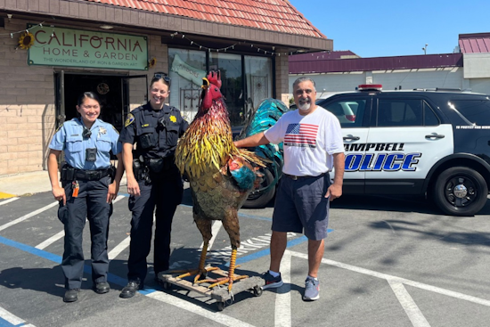 Stolen 6-Foot Metallic Rooster Statue Recovered in San Jose Park After Daylight Heist in Campbell