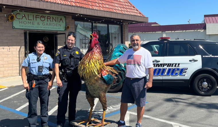 Stolen 6-Foot Metallic Rooster Statue Recovered in San Jose Park After Daylight Heist in Campbell