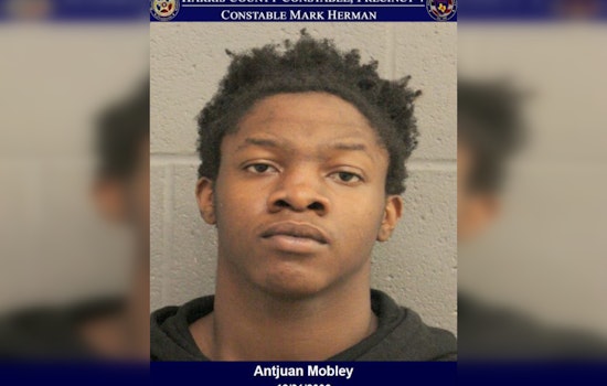 Suspect Arrested for Burglary and Fraud After Foot Chase in Harris County