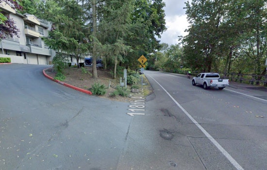 Suspect Arrested in $100,000 Bellevue Burglary, Accomplice Sought