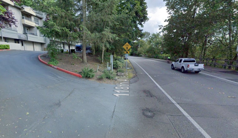 Suspect Arrested in $100,000 Bellevue Burglary, Accomplice Sought
