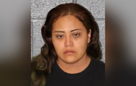 Suspect Arrested in East Charlotte Hit-and-Run Case Involving Fatality, Allegedly Struck Victim Twice