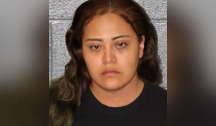 Suspect Arrested in East Charlotte Hit-and-Run Case Involving Fatality, Allegedly Struck Victim Twice
