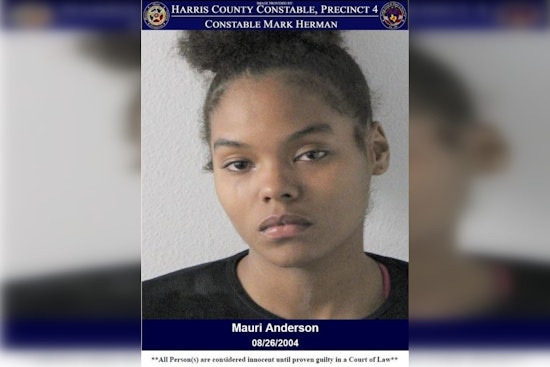 Suspected Dealer with Robbery Warrant Arrested in North Houston, Charged with Drug Possession and Credit Card Abuse